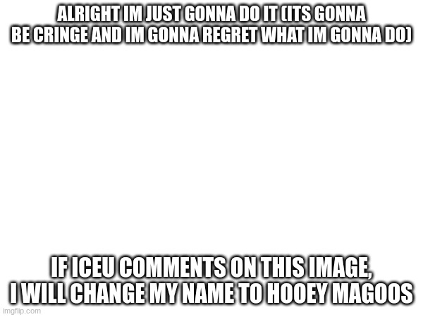 i will do it no lie | ALRIGHT IM JUST GONNA DO IT (ITS GONNA BE CRINGE AND IM GONNA REGRET WHAT IM GONNA DO); IF ICEU COMMENTS ON THIS IMAGE, I WILL CHANGE MY NAME TO HOOEY MAGOOS | image tagged in stupid | made w/ Imgflip meme maker
