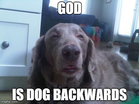 High Dog | GOD IS DOG BACKWARDS | image tagged in memes,high dog | made w/ Imgflip meme maker