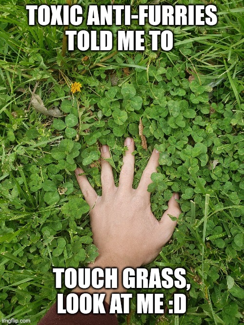 Mangle_fnaf2 touching grass | TOXIC ANTI-FURRIES TOLD ME TO; TOUCH GRASS, LOOK AT ME :D | image tagged in kings little fox touching grass,shrek | made w/ Imgflip meme maker