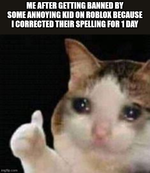 roblox memes | ME AFTER GETTING BANNED BY SOME ANNOYING KID ON ROBLOX BECAUSE I CORRECTED THEIR SPELLING FOR 1 DAY | image tagged in approved crying cat | made w/ Imgflip meme maker