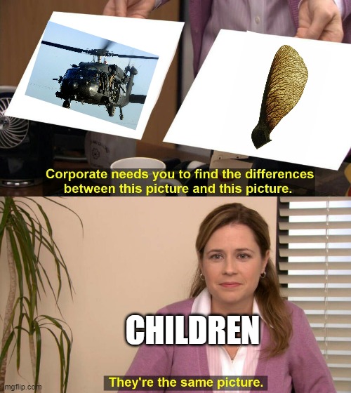 helicopter | CHILDREN | image tagged in they are the same picture | made w/ Imgflip meme maker