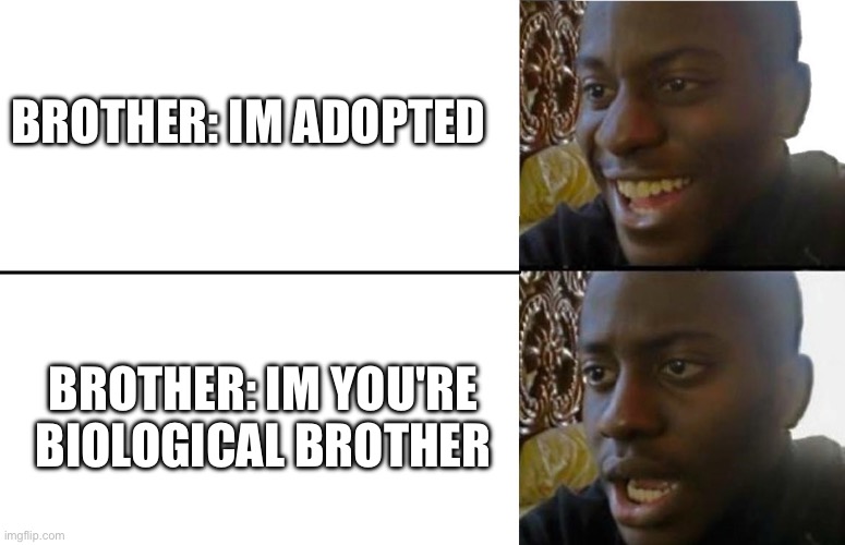 Oh really? | BROTHER: IM ADOPTED; BROTHER: IM YOU'RE BIOLOGICAL BROTHER | image tagged in realization | made w/ Imgflip meme maker