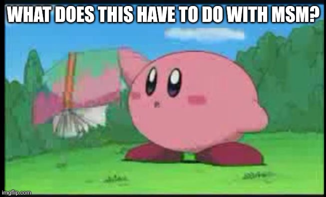 Confused Kirby | WHAT DOES THIS HAVE TO DO WITH MSM? | image tagged in confused kirby | made w/ Imgflip meme maker