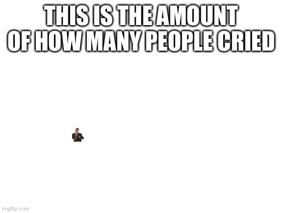 Blank White Template | THIS IS THE AMOUNT OF HOW MANY PEOPLE CRIED | image tagged in blank white template | made w/ Imgflip meme maker