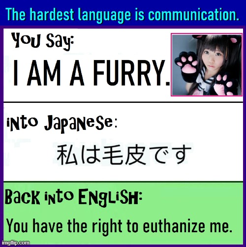 Even if we all spoke English... we're just a weird species | image tagged in vince vance,japanese,english,memes,communication,furries | made w/ Imgflip meme maker