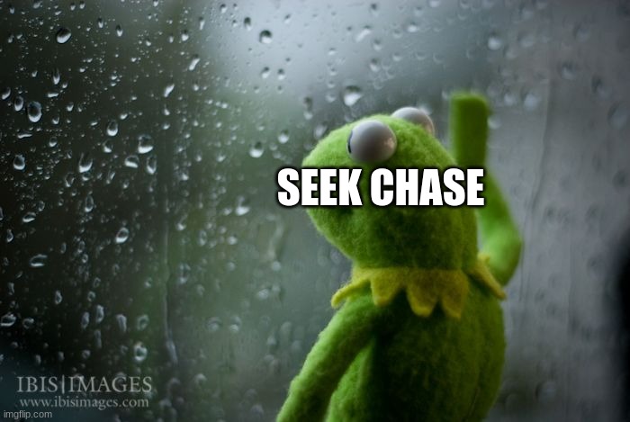 kermit window | SEEK CHASE | image tagged in kermit window | made w/ Imgflip meme maker