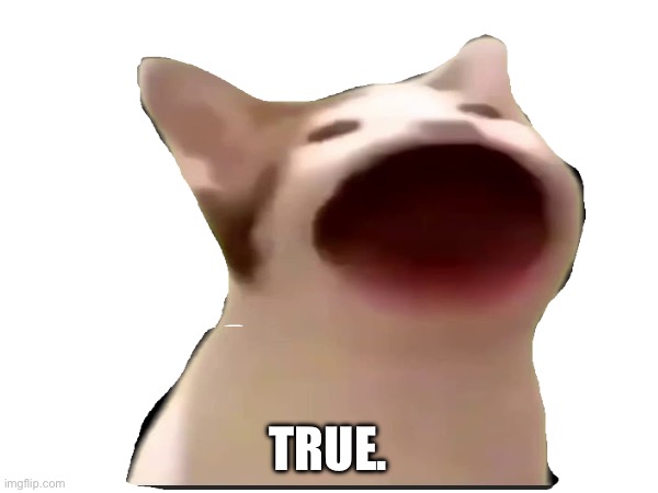 TRUE. | made w/ Imgflip meme maker