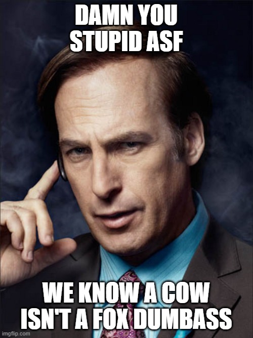 @Nozomi | DAMN YOU STUPID ASF; WE KNOW A COW ISN'T A FOX DUMBASS | image tagged in saul goodman phone | made w/ Imgflip meme maker