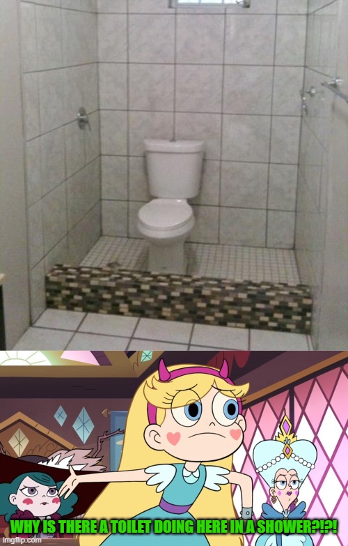 Why is there a toilet doing here in a Shower?!?! | WHY IS THERE A TOILET DOING HERE IN A SHOWER?!?! | image tagged in star explaining,you had one job,star vs the forces of evil,memes | made w/ Imgflip meme maker