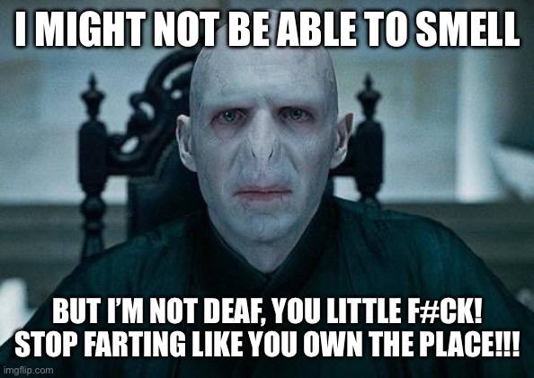 Haha | I MIGHT NOT BE ABLE TO SMELL; BUT I’M NOT DEAF, YOU LITTLE F#CK! STOP FARTING LIKE YOU OWN THE PLACE!!! | image tagged in lord voldemort | made w/ Imgflip meme maker
