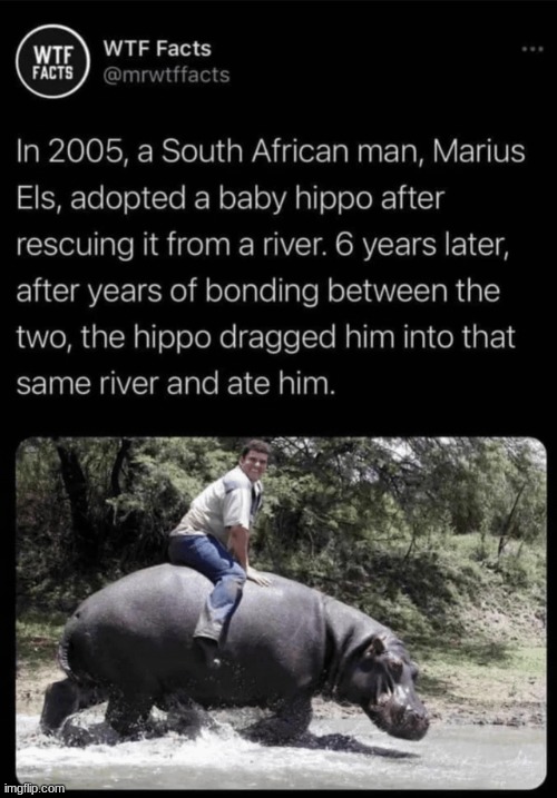 Paying respects | image tagged in memes,funny | made w/ Imgflip meme maker