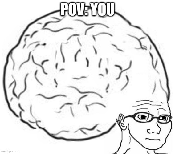 Big Brain | POV: YOU | image tagged in big brain | made w/ Imgflip meme maker