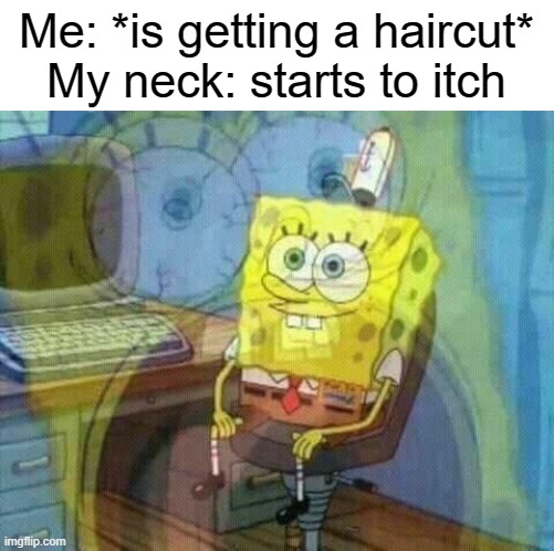 Thought about this meme while getting a haircut | Me: *is getting a haircut*
My neck: starts to itch | image tagged in spongebob panic inside,memes,relatable,funny,spongebob,internal screaming | made w/ Imgflip meme maker