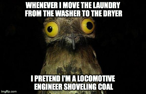 Weird Stuff I Do Potoo | WHENEVER I MOVE THE LAUNDRY FROM THE WASHER TO THE DRYER I PRETEND I'M A LOCOMOTIVE ENGINEER SHOVELING COAL | image tagged in memes,weird stuff i do potoo,AdviceAnimals | made w/ Imgflip meme maker