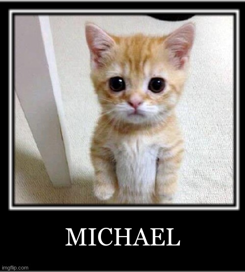 MICHAEL | image tagged in cats | made w/ Imgflip meme maker