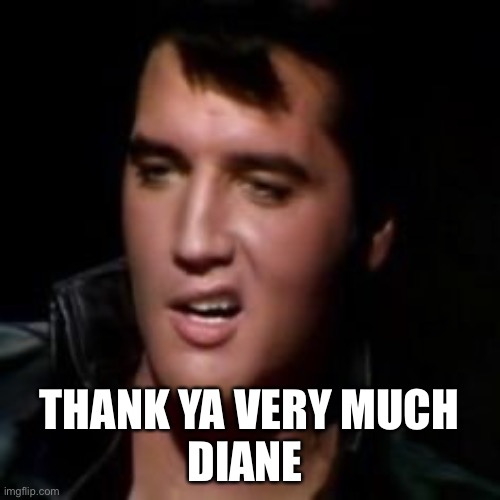 Elvis, thank you | THANK YA VERY MUCH
DIANE | image tagged in elvis thank you | made w/ Imgflip meme maker