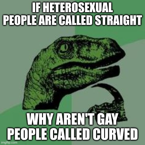 haha | IF HETEROSEXUAL PEOPLE ARE CALLED STRAIGHT; WHY AREN'T GAY PEOPLE CALLED CURVED | image tagged in time raptor,philosoraptor,raptor,velociraptor,gay,lgbtq | made w/ Imgflip meme maker