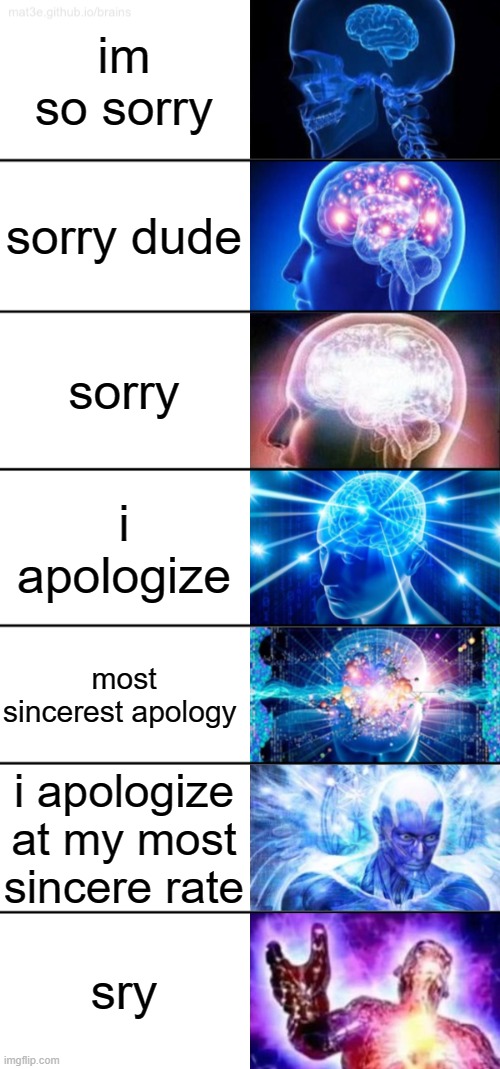 LOL | im so sorry; sorry dude; sorry; i apologize; most sincerest apology; i apologize at my most sincere rate; sry | image tagged in 7-tier expanding brain | made w/ Imgflip meme maker