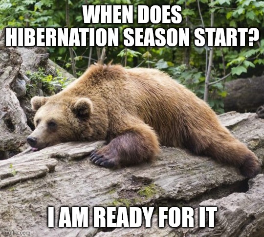 Procrastination Bear | WHEN DOES HIBERNATION SEASON START? I AM READY FOR IT | image tagged in procrastination bear | made w/ Imgflip meme maker