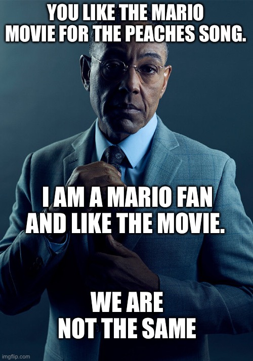 Mario Movie but not the same | YOU LIKE THE MARIO MOVIE FOR THE PEACHES SONG. I AM A MARIO FAN AND LIKE THE MOVIE. WE ARE NOT THE SAME | image tagged in gus fring we are not the same,mario,movie | made w/ Imgflip meme maker