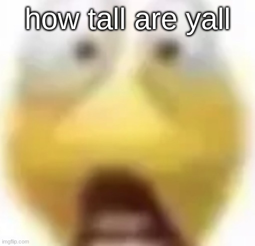 due to someone I cannot call any girl under 5'4 "fun sized" | how tall are yall | image tagged in shocked | made w/ Imgflip meme maker