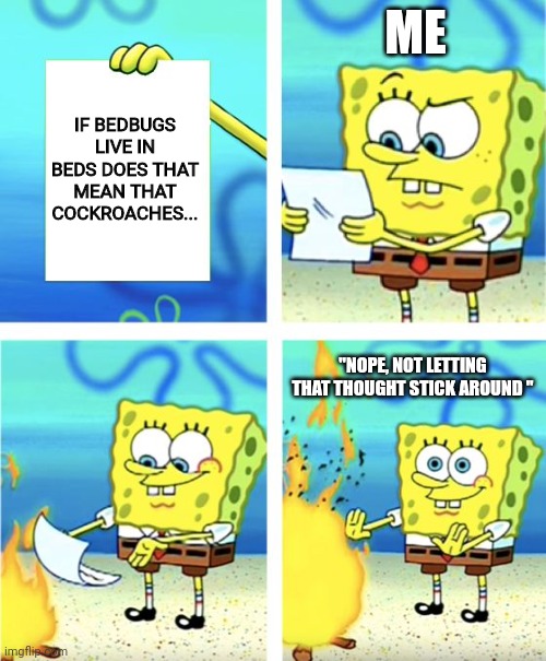 Nope | ME; IF BEDBUGS LIVE IN BEDS DOES THAT MEAN THAT COCKROACHES... "NOPE, NOT LETTING THAT THOUGHT STICK AROUND " | image tagged in spongebob burning paper | made w/ Imgflip meme maker