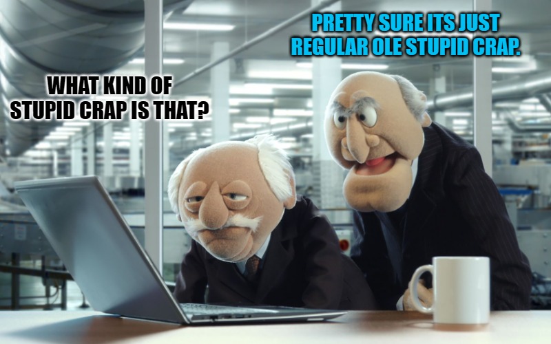 PRETTY SURE ITS JUST REGULAR OLE STUPID CRAP. WHAT KIND OF STUPID CRAP IS THAT? | image tagged in muppets | made w/ Imgflip meme maker