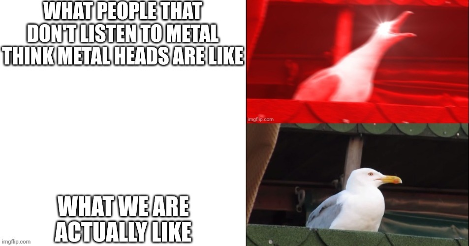 i wouldn't really consider myself a hardcore metal head but the guitars are just so fun to listen to | WHAT PEOPLE THAT DON'T LISTEN TO METAL THINK METAL HEADS ARE LIKE; WHAT WE ARE ACTUALLY LIKE | image tagged in angry seagull vs chill seagull,heavy metal,metal | made w/ Imgflip meme maker