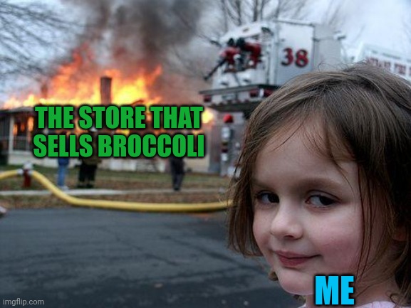Disaster Girl Meme | THE STORE THAT SELLS BROCCOLI ME | image tagged in memes,disaster girl | made w/ Imgflip meme maker