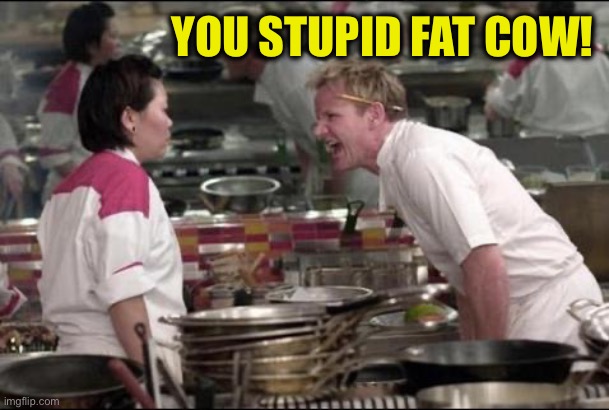 Angry Chef Gordon Ramsay Meme | YOU STUPID FAT COW! | image tagged in memes,angry chef gordon ramsay | made w/ Imgflip meme maker