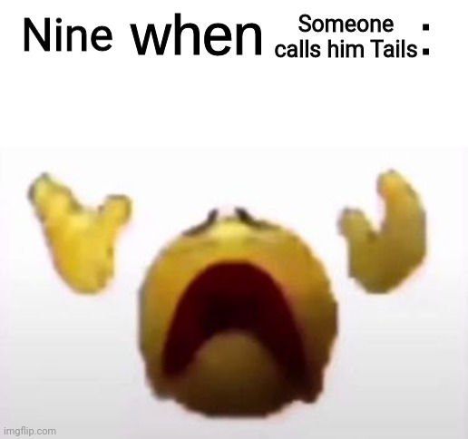 User When Offended: | Someone calls him Tails; Nine | image tagged in user when offended | made w/ Imgflip meme maker