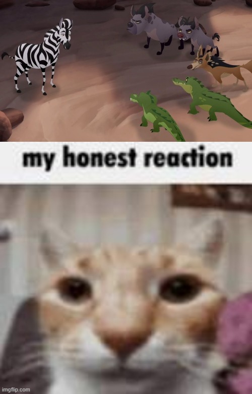 image tagged in lion guard,my honest reaction | made w/ Imgflip meme maker