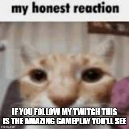 https://clips.twitch.tv/PeppyHedonisticPidgeonLitFam-bLS2SrqzR1NXfguw | IF YOU FOLLOW MY TWITCH THIS IS THE AMAZING GAMEPLAY YOU'LL SEE | image tagged in my honest reaction | made w/ Imgflip meme maker