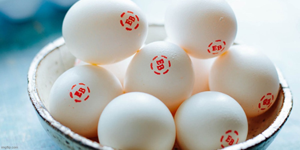 Egglands best eggs | image tagged in egglands best eggs | made w/ Imgflip meme maker