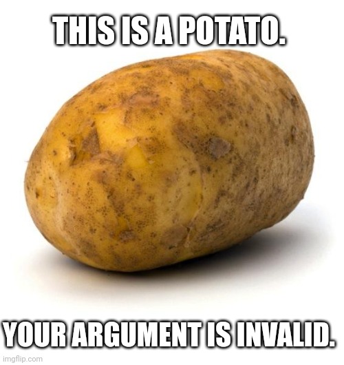 I am a potato | THIS IS A POTATO. YOUR ARGUMENT IS INVALID. | image tagged in i am a potato | made w/ Imgflip meme maker