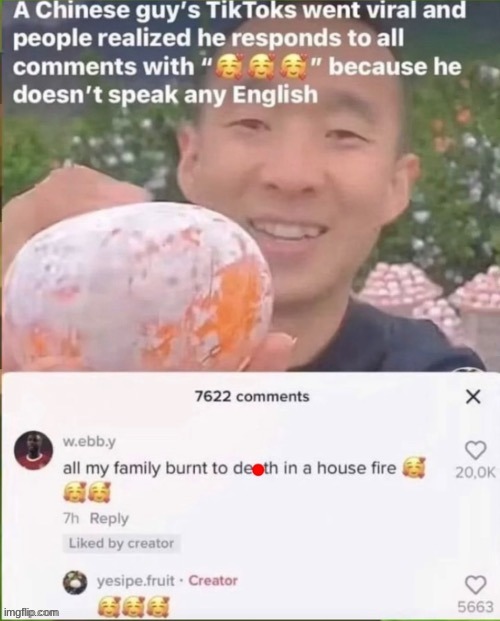 E | image tagged in tiktok,china | made w/ Imgflip meme maker