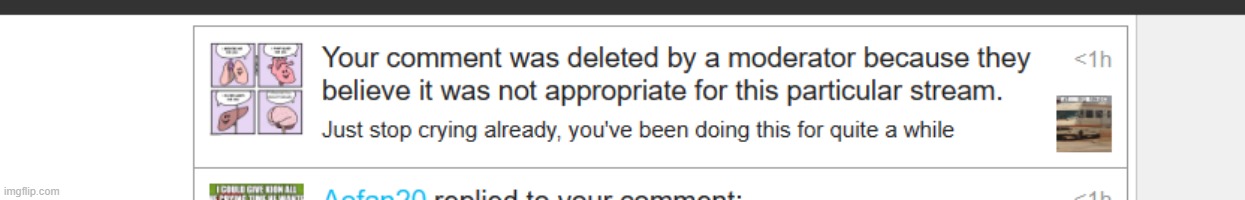 Aofan20 flagged my comment for no reason | image tagged in aofan20 flagged my comment | made w/ Imgflip meme maker