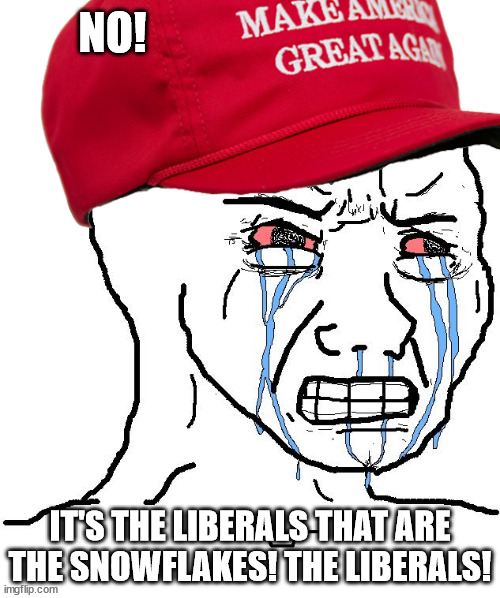 NO! IT'S THE LIBERALS THAT ARE THE SNOWFLAKES! THE LIBERALS! | made w/ Imgflip meme maker