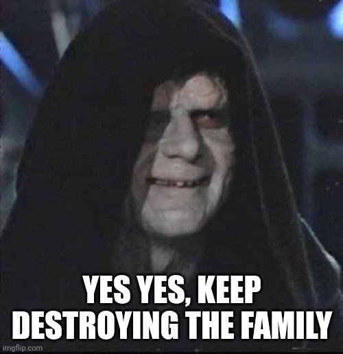 Sidious Error Meme | YES YES, KEEP DESTROYING THE FAMILY | image tagged in memes,sidious error | made w/ Imgflip meme maker