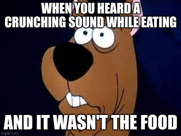 Cavity Alert | WHEN YOU HEARD A CRUNCHING SOUND WHILE EATING; AND IT WASN'T THE FOOD | image tagged in scooby doo surprised,eating,food | made w/ Imgflip meme maker