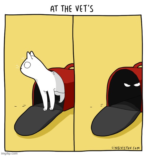 A Cat Guy's Way Of Thinking | image tagged in memes,comics/cartoons,take,cats,vet,but why why would you do that | made w/ Imgflip meme maker