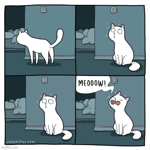 A Cat's Way Of Thinking | image tagged in memes,comics/cartoons,cats,look,pay attention,meow | made w/ Imgflip meme maker