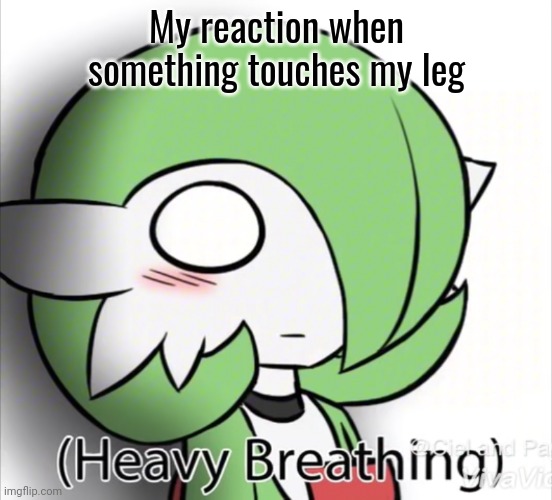 Gardevoir is amazing | My reaction when something touches my leg | image tagged in gardevoir heavy breathing,gardevoir | made w/ Imgflip meme maker