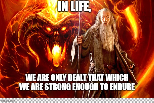 Courage, Endurance | IN LIFE, WE ARE ONLY DEALT THAT WHICH WE ARE STRONG ENOUGH TO ENDURE | image tagged in courage,endurance,perseverance | made w/ Imgflip meme maker