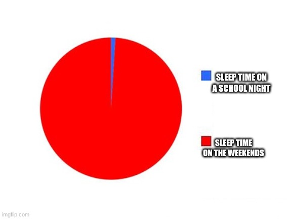 circle graph | SLEEP TIME ON A SCHOOL NIGHT; SLEEP TIME ON THE WEEKENDS | image tagged in circle graph | made w/ Imgflip meme maker