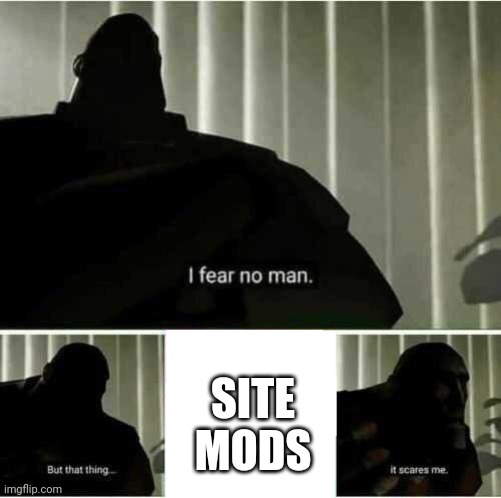 I fear no man | SITE MODS | image tagged in i fear no man | made w/ Imgflip meme maker