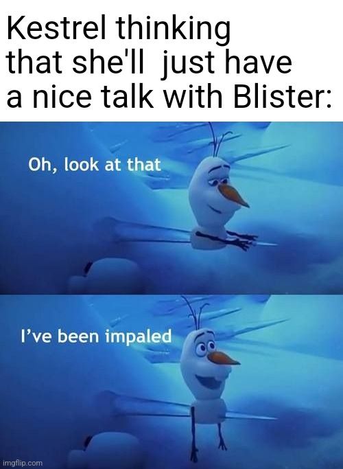 I've been impaled | Kestrel thinking that she'll  just have a nice talk with Blister: | image tagged in i've been impaled | made w/ Imgflip meme maker
