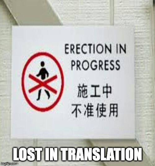 Lost in translation | LOST IN TRANSLATION | image tagged in lost in translation | made w/ Imgflip meme maker