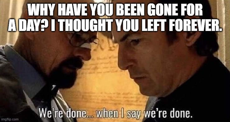 I might not say done but meh. | WHY HAVE YOU BEEN GONE FOR A DAY? I THOUGHT YOU LEFT FOREVER. | image tagged in we're done when i say we're done | made w/ Imgflip meme maker