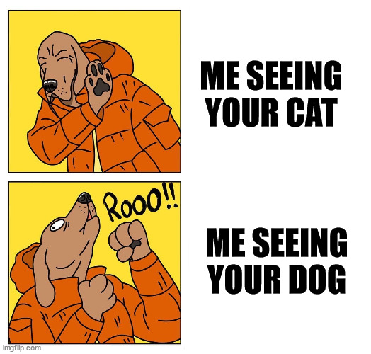 drake dog | ME SEEING YOUR CAT ME SEEING YOUR DOG | image tagged in drake dog | made w/ Imgflip meme maker